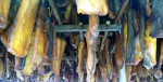 Favoriet van de IJslanders: gefermenteerde haai